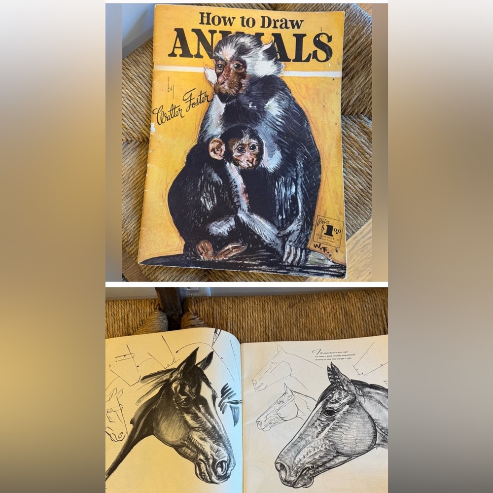 Walter T. Foster How to Draw vintage art book